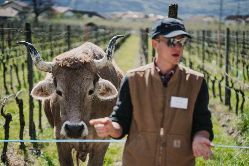 Lageder-Summa-2022-Full-Res-614