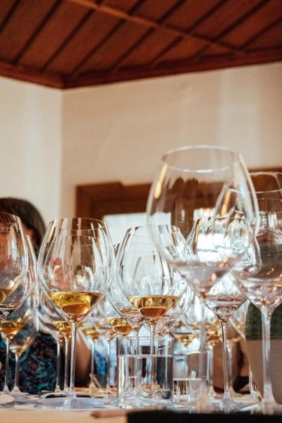 Meike-Hollnaicher-0288