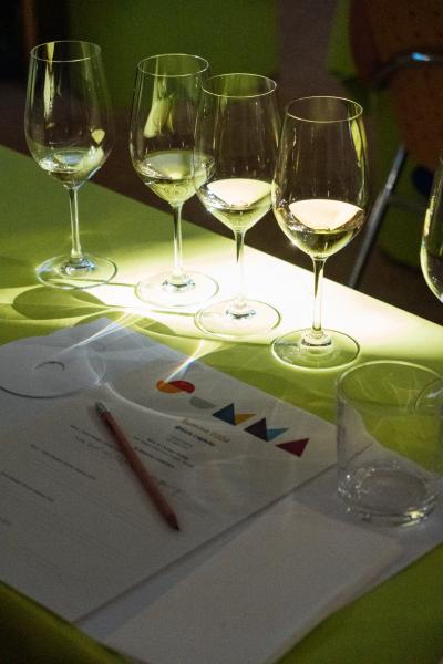 Meike-Hollnaicher-0717