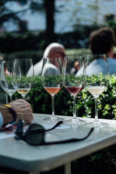 Meike-Hollnaicher-2060