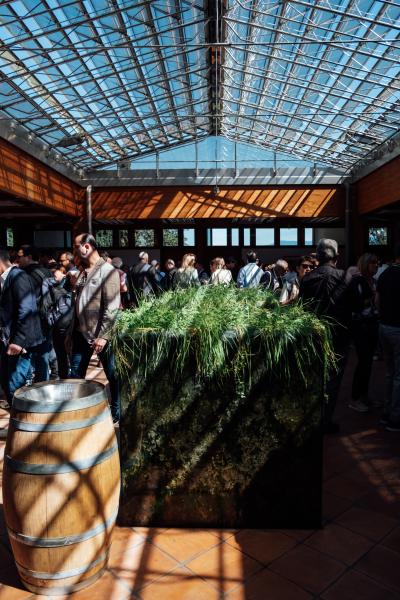 Meike-Hollnaicher-9876